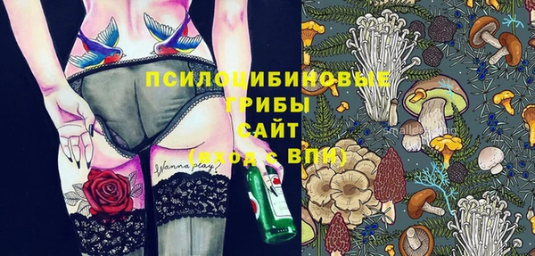 Альфа ПВП Сатка