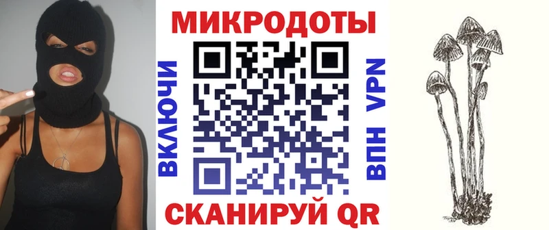 Галлюциногенные грибы прущие грибы Гусиноозёрск